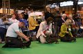 Crufts2010 780